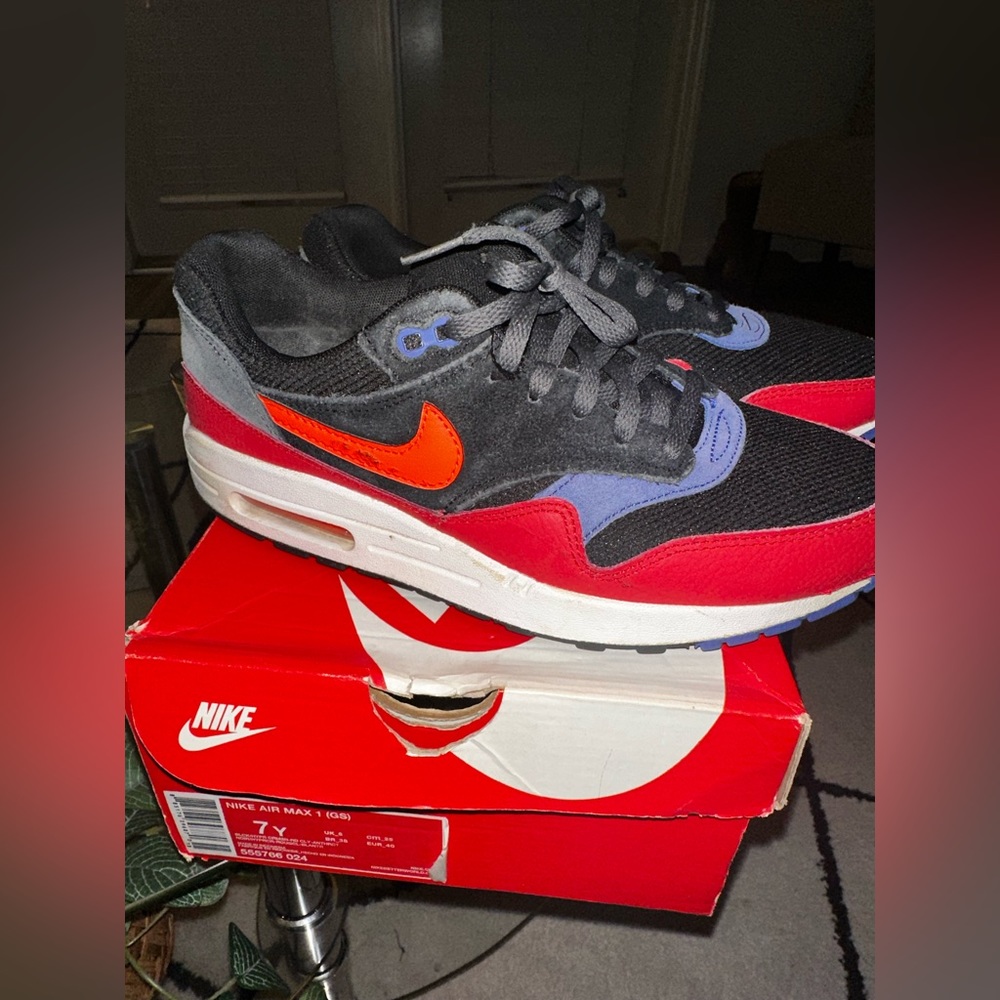 Nike Air Max 1. Worn and has scuff marks, but still wearable.